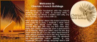 design portfolio 4